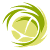 Minimalist volleyball logo