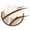 Volleyball motif
