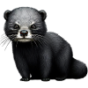 Intriguing Binturong