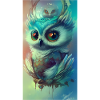 Cute owl
