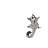 Short-headed glider Sugar Glider