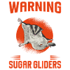 Kurzkopfgleitbeutler Sugar Glider