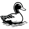 Duck Birds Ducks