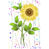 Blume