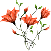 Fleur