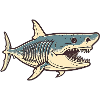 Shark Drawing