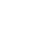 Meme Historian