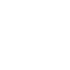Pensioner pension