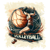 Volley-ball