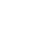 Snowflake Leonik