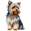 YorkshireTerrier