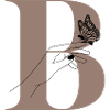 lettre b papillon magique