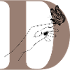 Magic butterfly letter