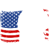 Nederlandse Kooikerhondje Amerika Flag Dogs
