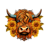 Sunflower Highland Cow Highland Cattle