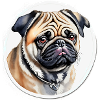 Pug
