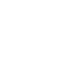 Diving Diver Cat