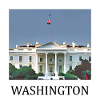 Washington D.C.