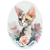 Devon Rex