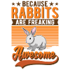 Lapin Cadeau Lapin Lapin Lapin