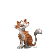 Gutes Aussehen (Katze)