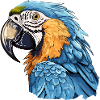 Blue and gold macaw