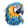 Blue and gold macaw