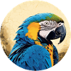 Ara bleu-or