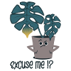 Plant - excuse me!?