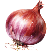 Onion