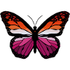 Lesbian Monarch Butterfly
