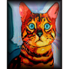 Chat du Bengale