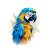 Ara bleu-or