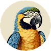 Ara bleu-or