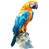 Ara bleu-or