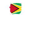 Guyana Drapeau guyanais Guyanais