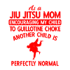 BJJ Jiu Jitsu