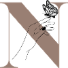 letter n magic butterfly