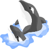 Orca Family