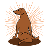 Yoga Funny Dog Dog Meditation