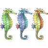 Seahorses
