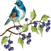 Bunter Vogel