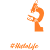 Embed Cut Stain Repeat