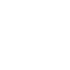 Canard Oiseaux Canards