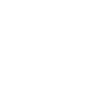 Canard Oiseaux Canards