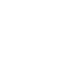 Canard Oiseaux Canards