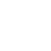 Duck Birds Ducks