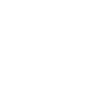 Duck Birds Ducks