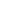 Duck Birds Ducks