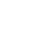 Duck Birds Ducks